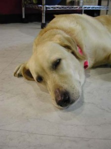 1380945917-1717802687