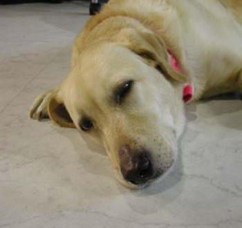 1380945917-1717802687