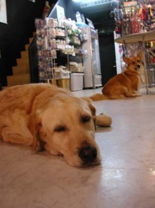 1380945917-710573018