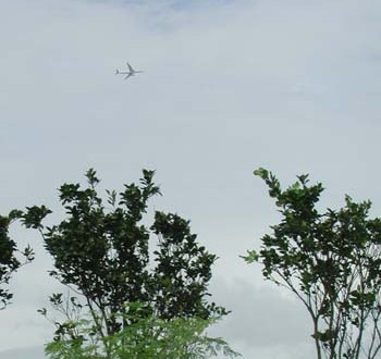 1380945919-4179150545