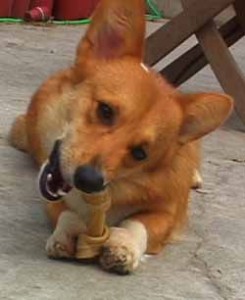 1380945921-2411154765