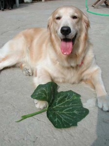 1380945922-1024251531