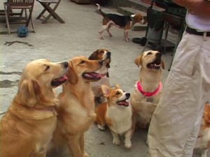 1380945923-2821406107