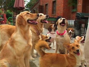 1380945923-3712758434