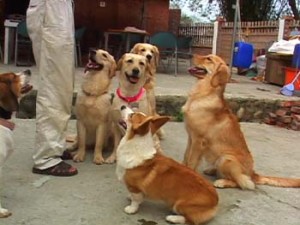 1380945924-2153373686