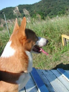 1380945925-2178123247