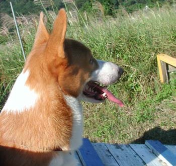 1380945925-2178123247