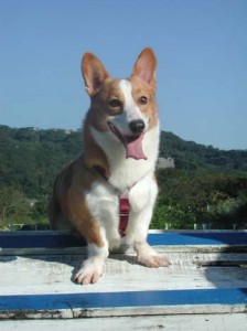 1380945925-3632238193