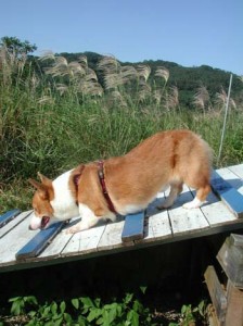 1380945926-1068148107