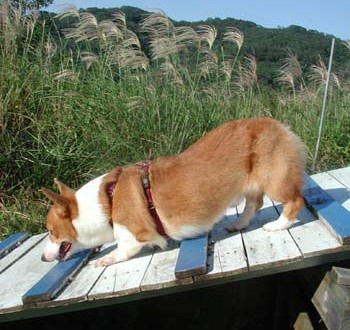 1380945926-1068148107