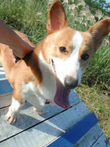 1380945926-2452632321