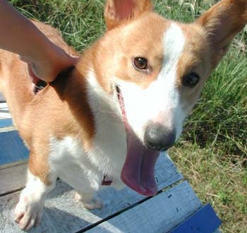 1380945926-2452632321