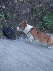 1380945927-1634565811