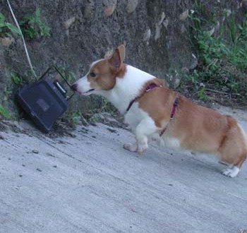 1380945927-1634565811