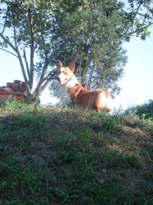 1380945927-2916177917