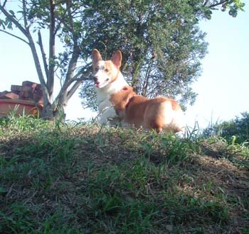 1380945927-2916177917