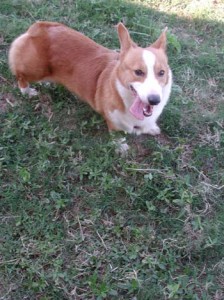 1380945928-1036393705