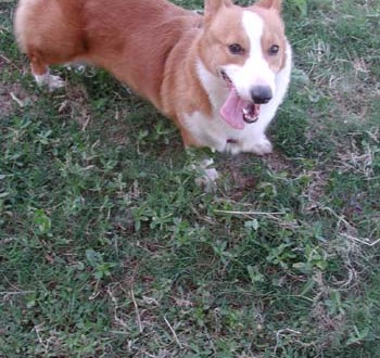 1380945928-1036393705