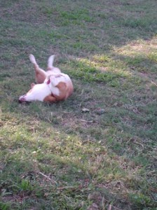 1380945928-1854938899