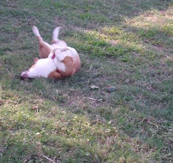 1380945928-1854938899