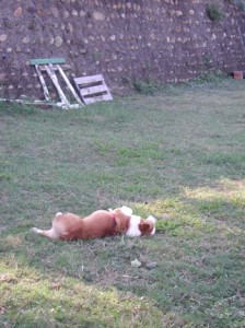 1380945928-2538401160