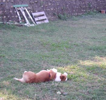 1380945928-2538401160