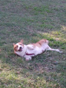 1380945929-265479430