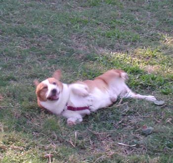 1380945929-265479430