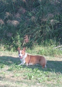 1380945930-2194297530