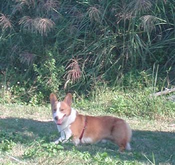 1380945930-2194297530