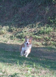 1380945930-2686499763