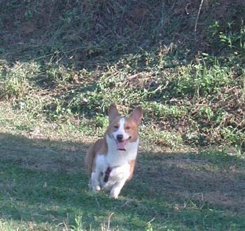 1380945930-2686499763