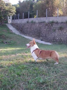 1380945930-3999461047