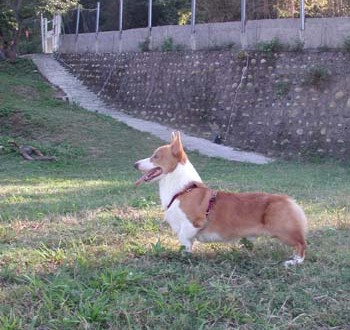 1380945930-3999461047