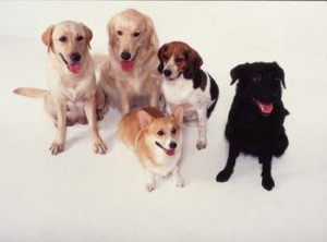 1380945932-3180819479