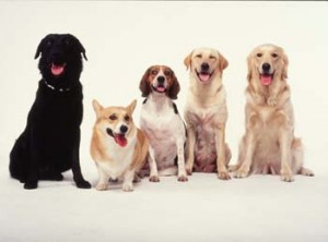 1380945933-1407525019