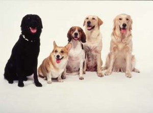 1380945933-2068587208