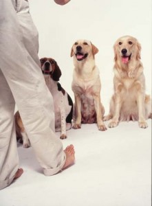 1380945933-524118481