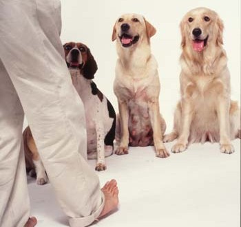 1380945933-524118481