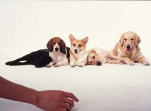 1380945934-2668639983