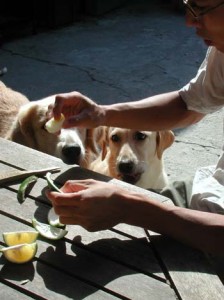 1380945936-117791942