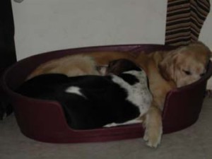 1380945938-2311114156