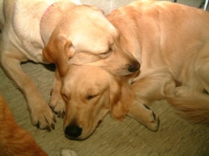 1380945939-3587439535