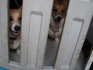 1380945941-2067161637