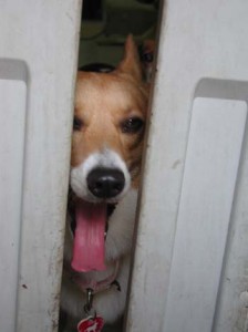 1380945942-2174510672