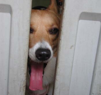 1380945942-2174510672