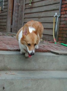 1380945942-2333670436