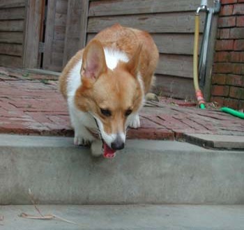 1380945942-2333670436