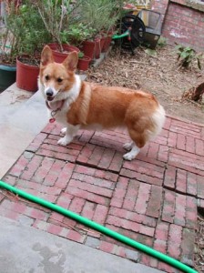 1380945942-3132374783