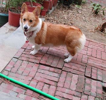 1380945942-3132374783